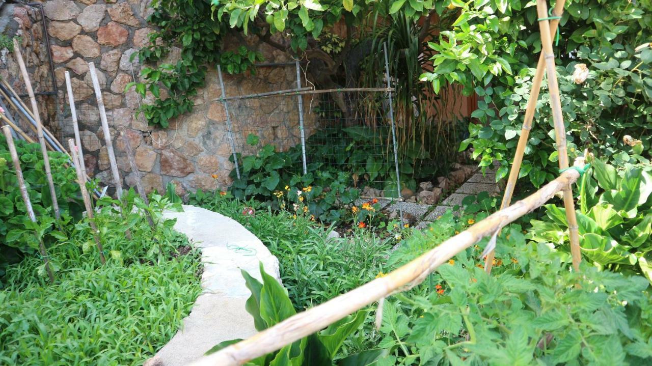 La Casa Di Elba E Mario Apartment Porto Santo Stefano  Bagian luar foto